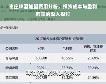 枣庄啤酒加盟费用分析，投资成本与盈利前景的深入探讨