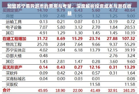 加盟苏宁易购超市的费用与考量，深度解析投资成本与潜在收益