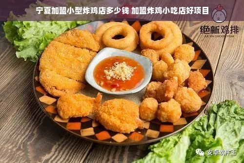 宁夏加盟小型炸鸡店多少钱 加盟炸鸡小吃店好项目