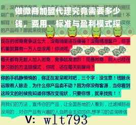 做微商加盟代理究竟需要多少钱，费用、标准与盈利模式探究