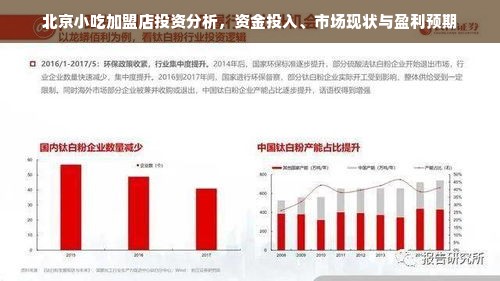 北京小吃加盟店投资分析，资金投入、市场现状与盈利预期