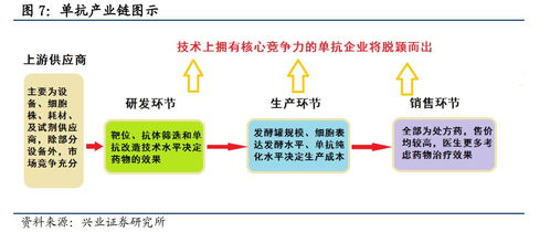 西安医药包装加盟费用全面解析，投资成本与潜在收益的平衡艺术