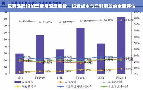 镜面洗脸吧加盟费用深度解析，投资成本与盈利前景的全面评估