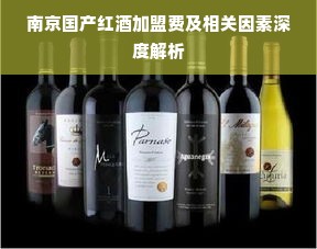 南京国产红酒加盟费及相关因素深度解析