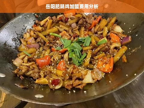 岳阳肥肠鸡加盟费用分析