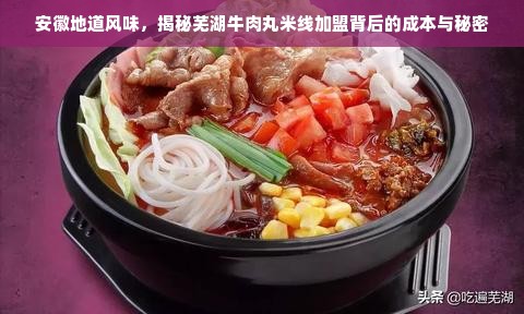 安徽地道风味，揭秘芜湖牛肉丸米线加盟背后的成本与秘密