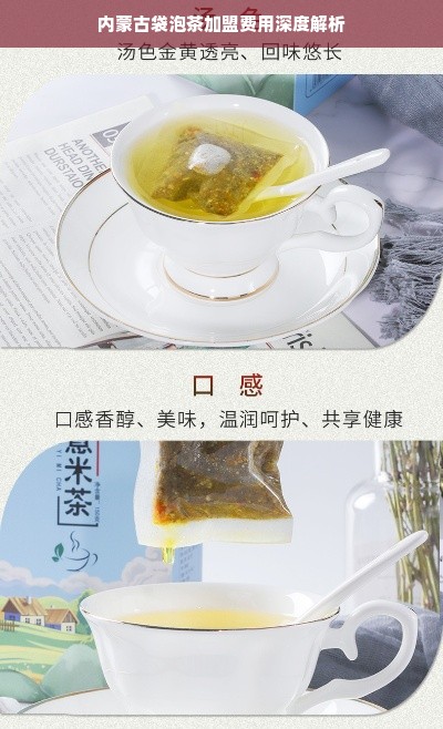 内蒙古袋泡茶加盟费用深度解析