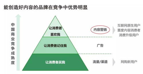 莎瑞艾加盟费用全解析，投资成本与潜在收益的平衡点探寻