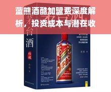 蓝熊酒酷加盟费深度解析，投资成本与潜在收益的平衡点