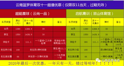 赤子星球篮球加盟费用解析，投入与收益的全方位解读