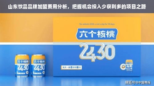 山东饮品品牌加盟费用分析，把握机会投入少获利多的项目之路