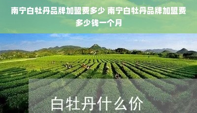 南宁白牡丹品牌加盟费多少 南宁白牡丹品牌加盟费多少钱一个月