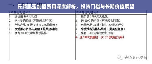 氏颜肌蜜加盟费用深度解析，投资门槛与长期价值展望