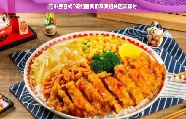 范小野日式丼饭加盟费用及其相关因素探讨