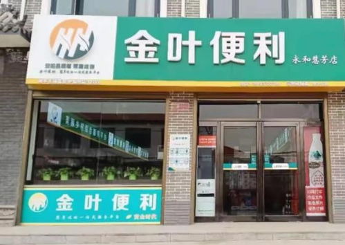 鹤岗金叶便利店加盟费用全面解析，投资成本与潜在收益的平衡艺术