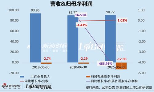 冒鲜家加盟费用全面解析，投资成本与潜在回报的平衡点