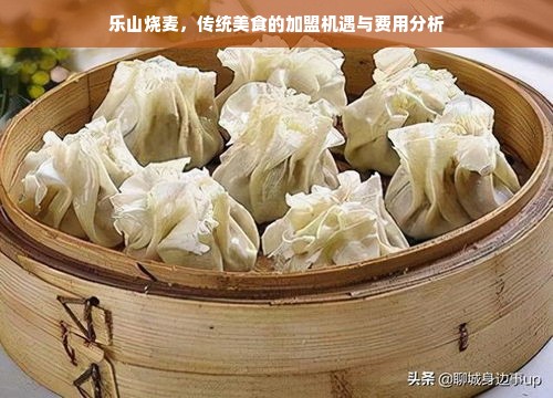 乐山烧麦，传统美食的加盟机遇与费用分析