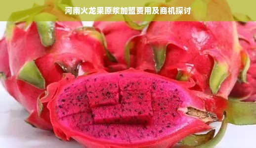 河南火龙果原浆加盟费用及商机探讨