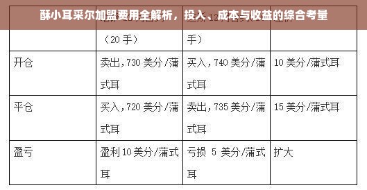 酥小耳采尔加盟费用全解析，投入、成本与收益的综合考量