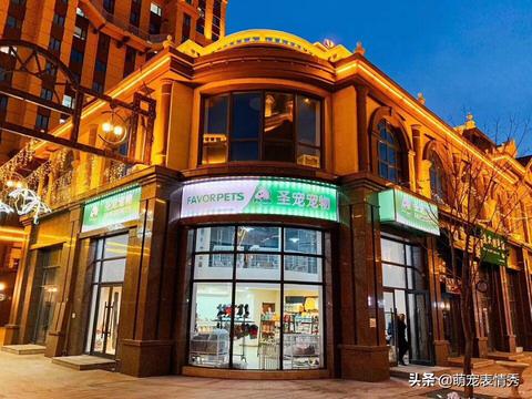 云南加盟宠物店盈利潜谈，深度洞悉市场获利之道