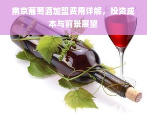 南京葡萄酒加盟费用详解，投资成本与前景展望