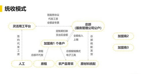 济宁魔狄加盟店的扩展探究，数量、影响与未来趋势