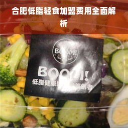 合肥低脂轻食加盟费用全面解析