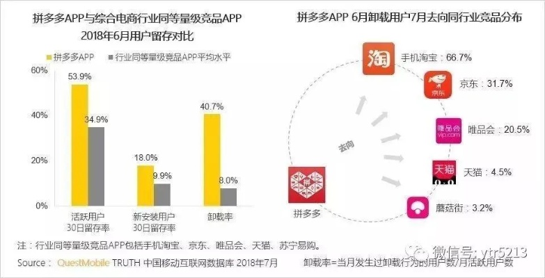 拼多多加盟店的蓬勃发展与行业趋势洞察