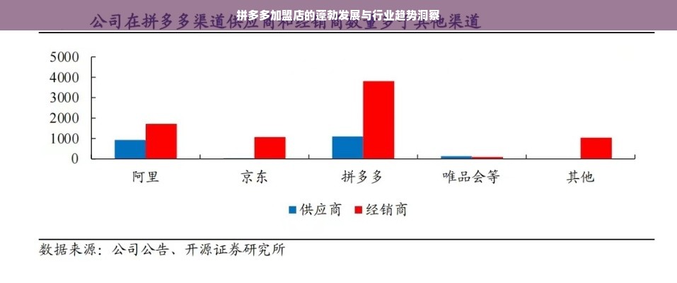 拼多多加盟店的蓬勃发展与行业趋势洞察