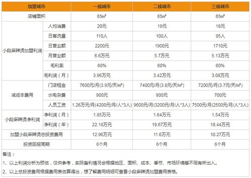 合肥加盟高端麻辣烫费用详解，投资成本与盈利前景展望