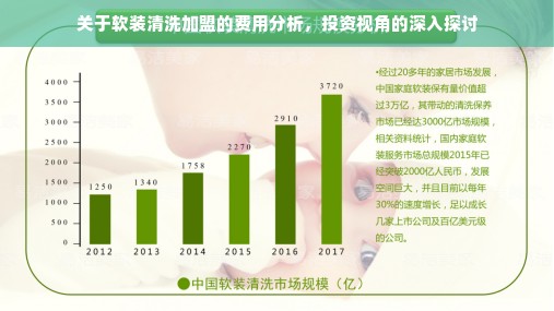 关于软装清洗加盟的费用分析，投资视角的深入探讨