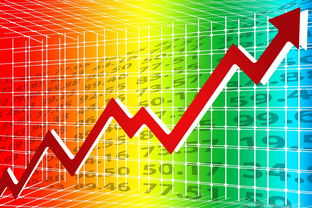 日本加盟麦当劳所需的资金分析