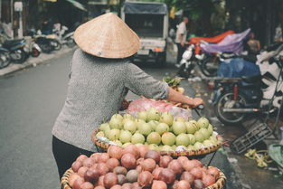 良家铺子加盟费详解，开启美食之旅的第一步