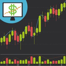 iTools加盟费用详解，助您轻松创业成功