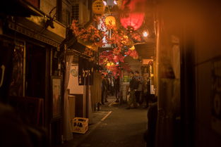 沙坪坝餐饮项目加盟前十名