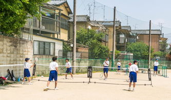 孩子游乐园加盟项目详解，多元化体验助力乐园成功运营