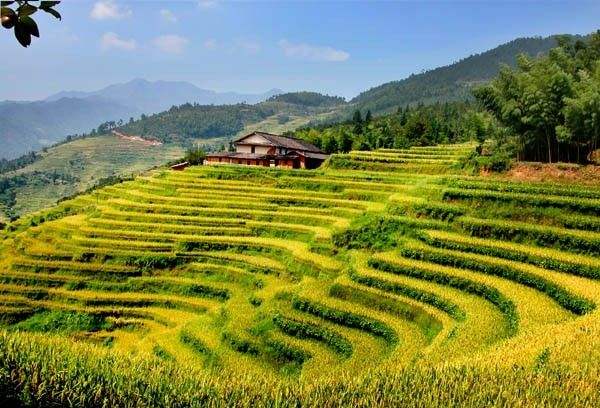 崇义有哪些旅游景点 崇义旅游景点大全排名