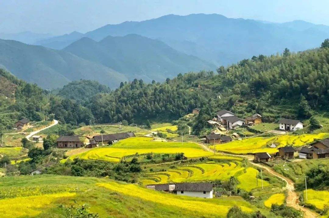 崇义有哪些旅游景点 崇义旅游景点大全排名