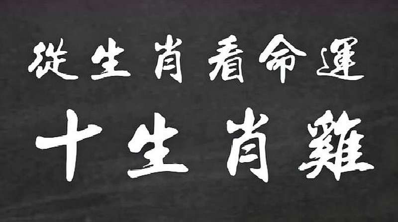 生肖命运大全 生肖命运大全图片