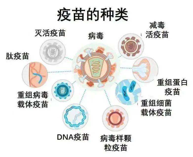 新冠病毒来自基因改造 新冠病毒来自基因改造的原理