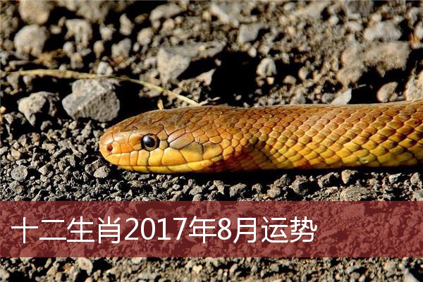 2017十二生肖码表 今年码表12生肖表号码