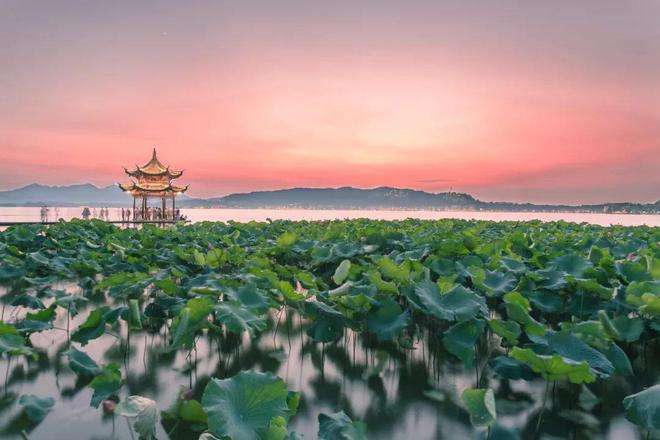 夏天去西湖杭州好吗 这个季节去杭州西湖好玩吗