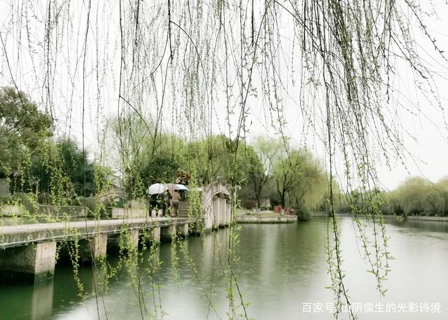 烟雨指什么生肖 柳烟花雾指什么生肖