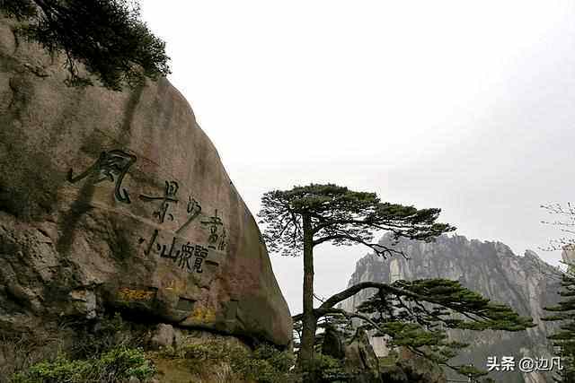 黄山迎客松假肢 黄山迎客松是假的吗?黄山迎客松有假肢?