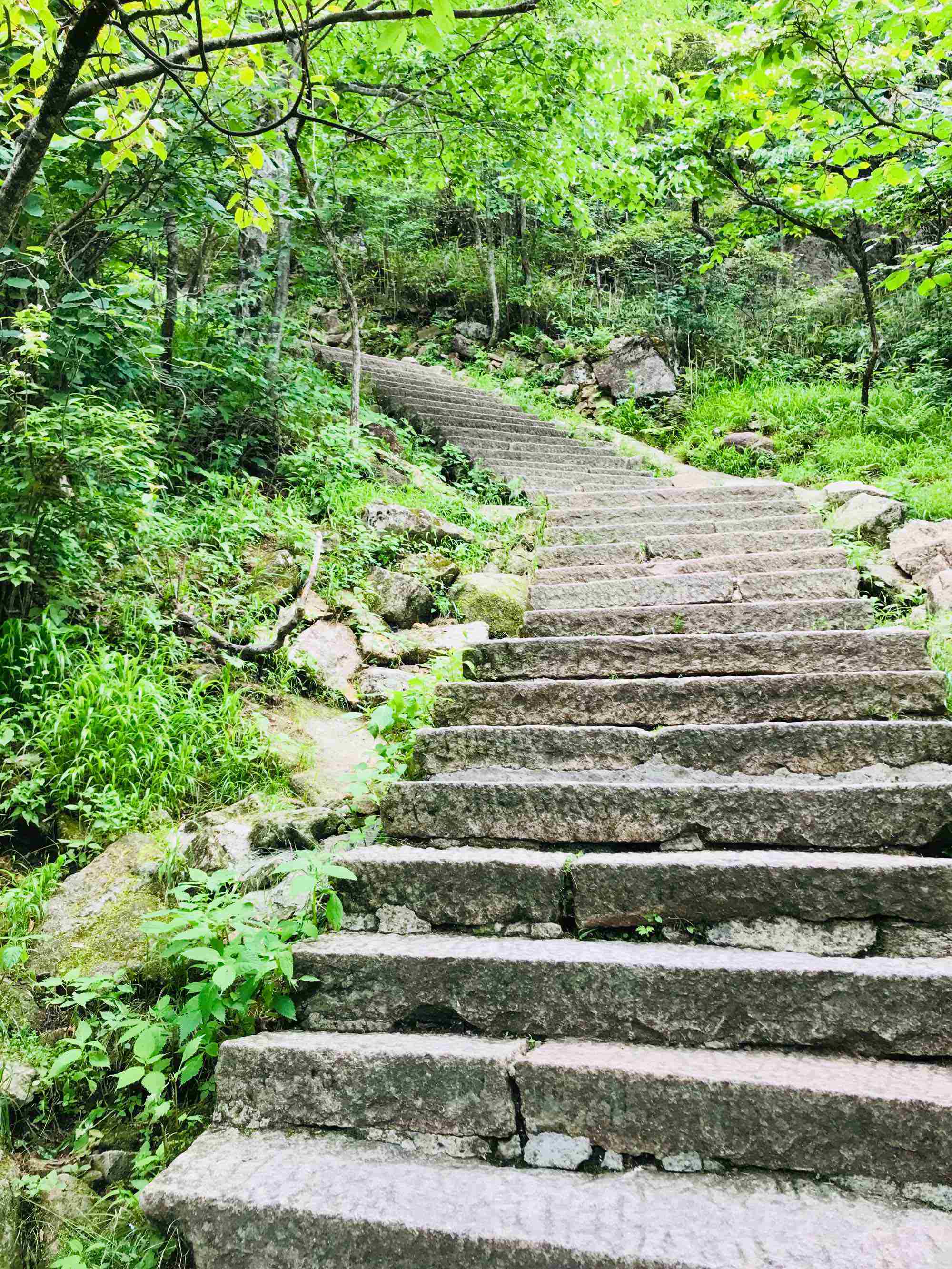 登黄山记读后感 黄山记节选读后感