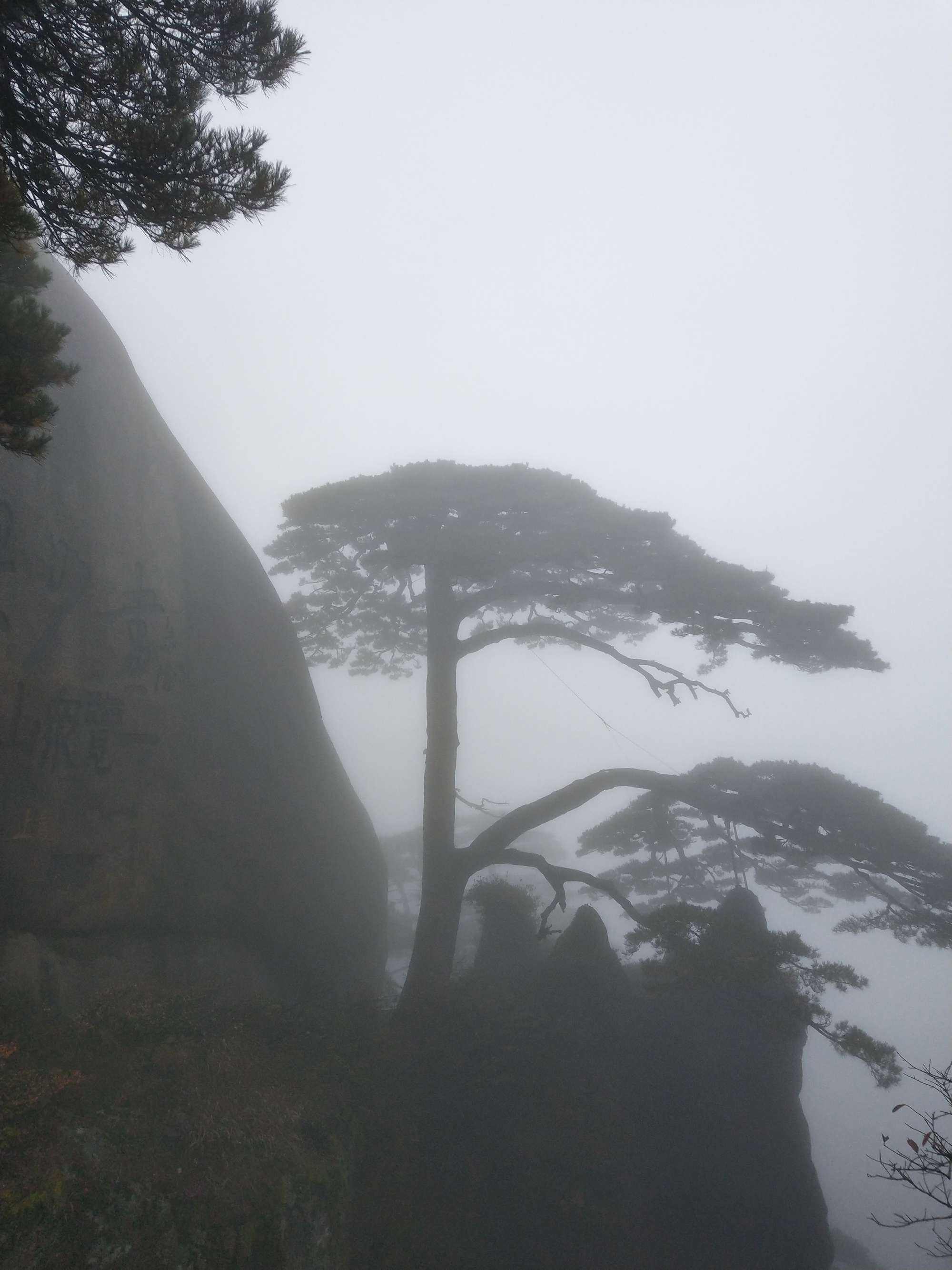 雨中黄山图片大全 安徽黄山风景区雨天照片