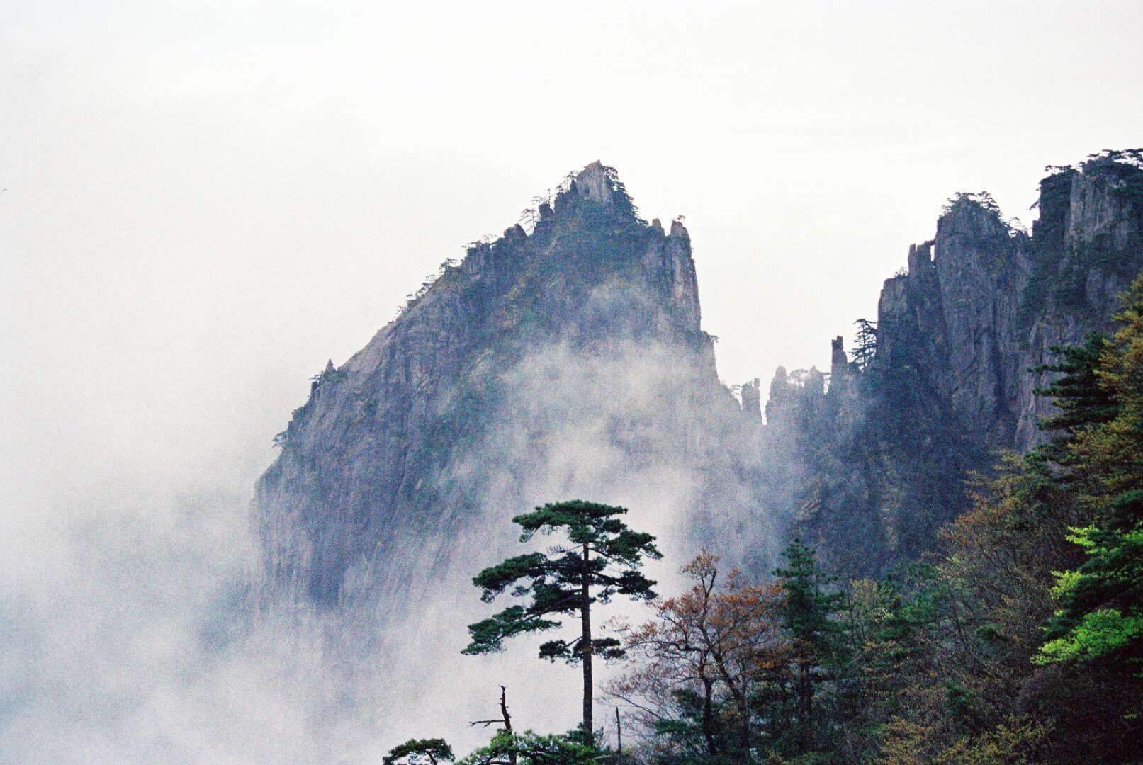 赞美黄山的古诗有哪些 有关赞美黄山的诗句 古诗