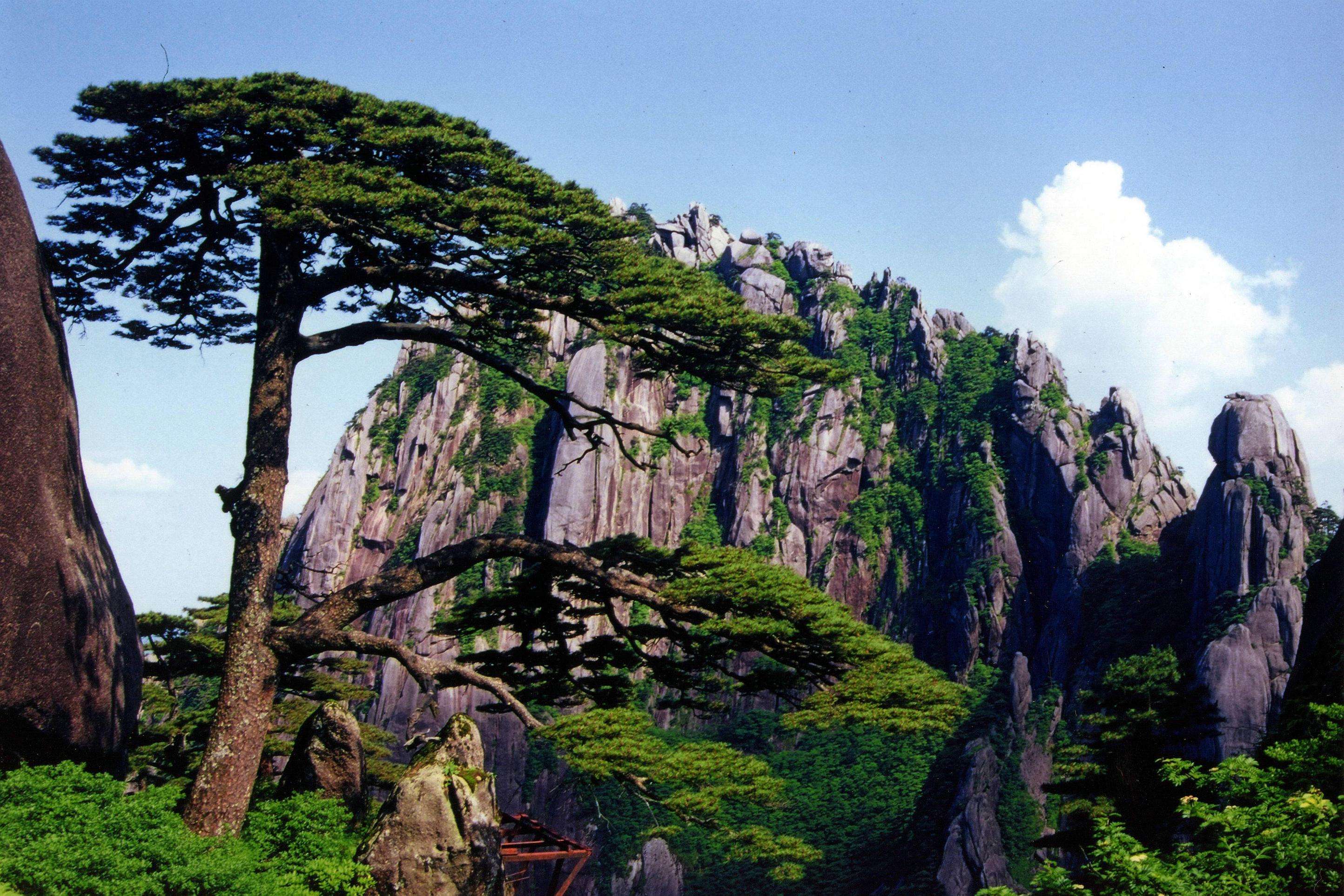 黄山风景区一日游路线 黄山风景区一日游路线攻略