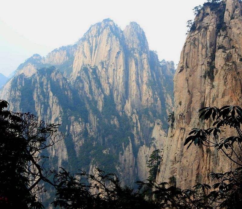 白黄山 白黄山多少钱一盒10块左右