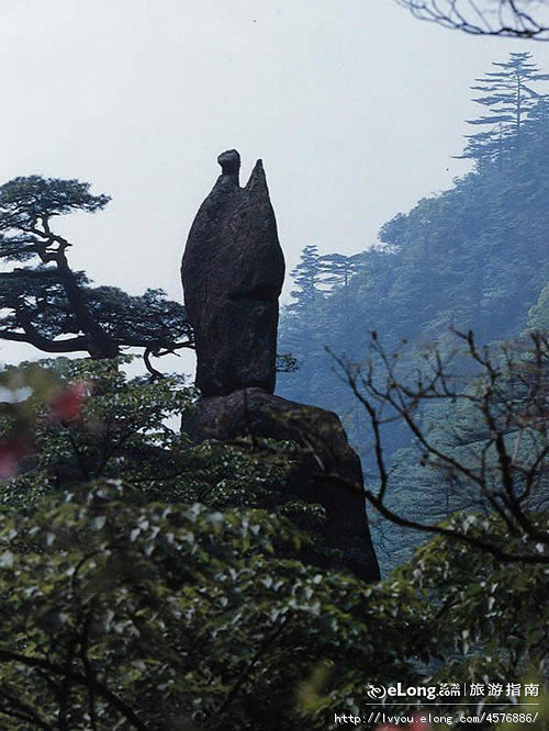 黄山的石头照片 黄山还有哪些奇怪的石头图片